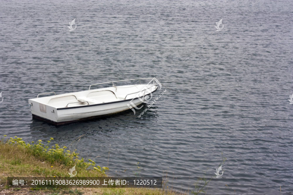 白色的小船停泊附近的草地