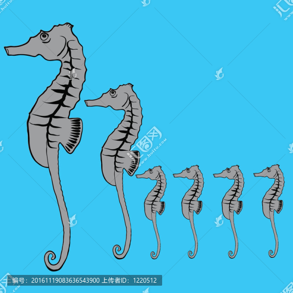 海的馬