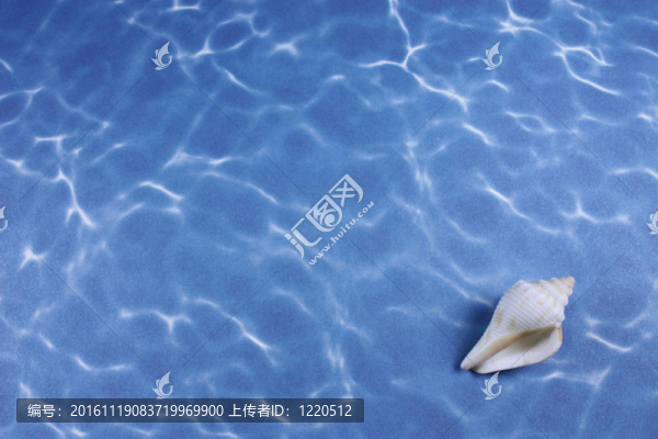 海貝殼