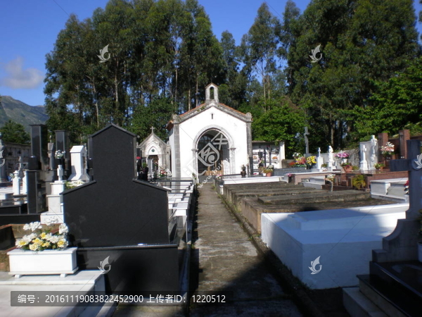 Camino,del,Norte圣地亞哥；