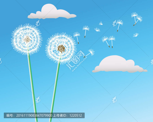 蒲公英-匯圖網(wǎng) www.fosd68.com 蒲公英