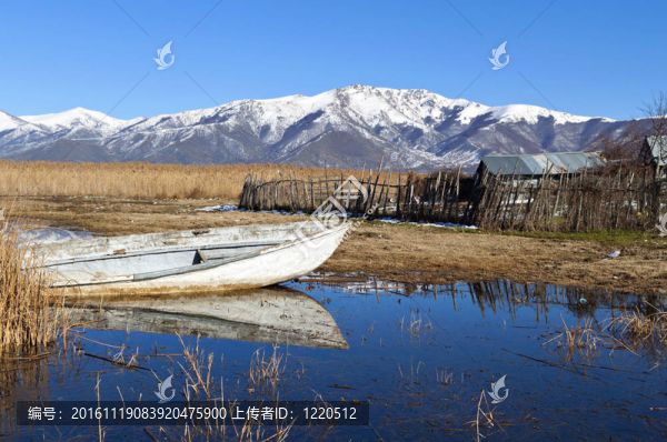 在希臘北部Prespes湖