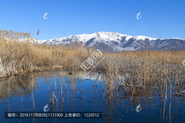 在希臘北部Prespes湖