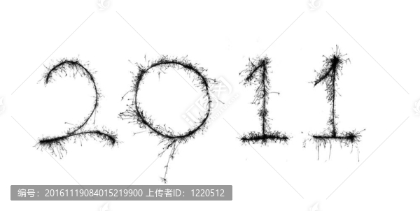 新的一年2011