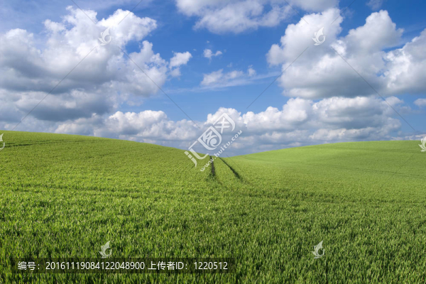 丘陵景觀