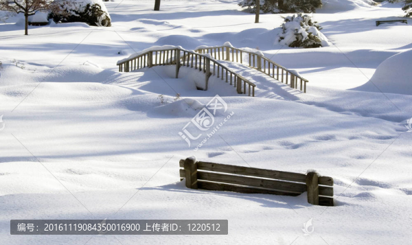 雪地公園里的冬天