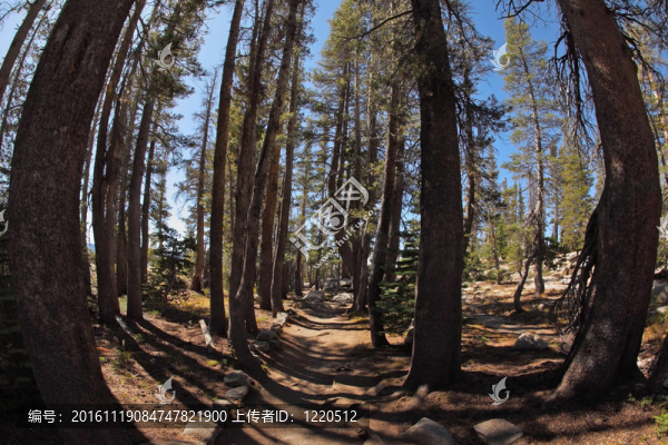 愿湖風(fēng)景如畫的旅游路線
