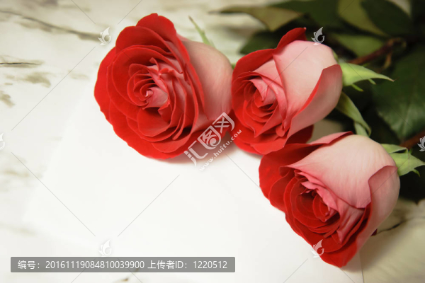 三朵紅玫瑰和一封信-匯圖網(wǎng) www.fosd68.com 三朵紅玫瑰和一封信