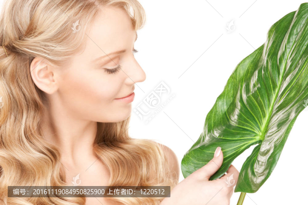 綠葉女人