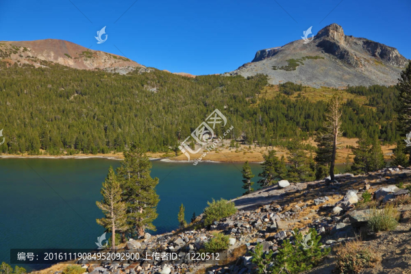 我在優(yōu)詩美地國家公園的；美國