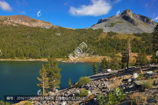 lake,Elleri的海岸