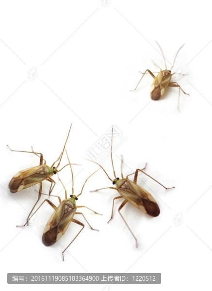 四料斗-匯圖網(wǎng) www.fosd68.com 四料斗