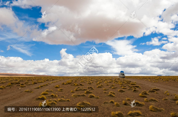 驅(qū)動的沙漠公路