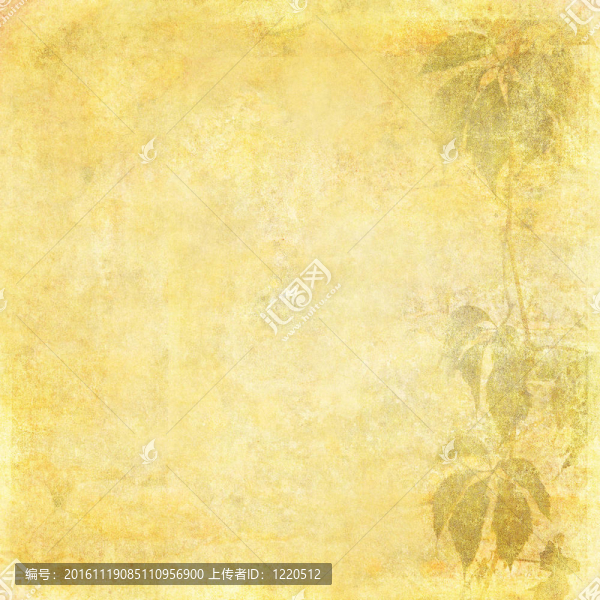垃圾花的背景與文本或圖像空間