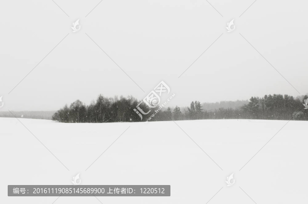 冬季景觀