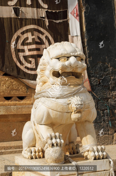 在松贊林寺寺廟的獅子；香格里拉；中國