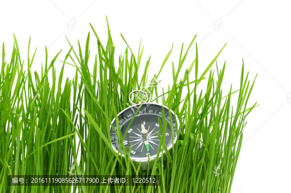 綠草中的指南針