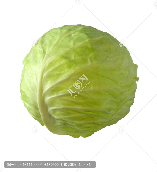 白菜。