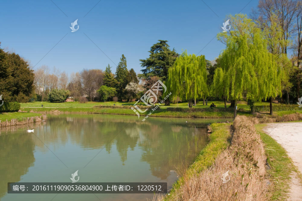 綠色的自然公園