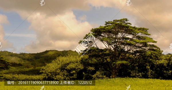 考艾場(chǎng)