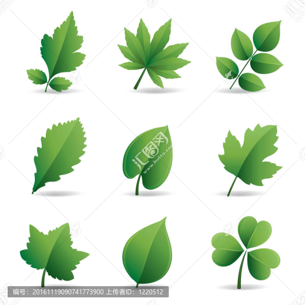 綠色的葉子元