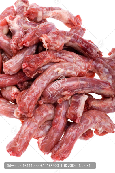 白色近白色雞肉