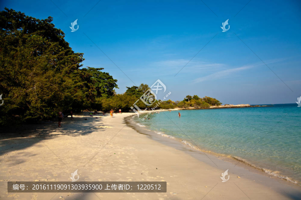 美麗的沙灘，潔白的沙灘和樹(shù)木，藍(lán)色的大海，浪漫的景色和蔚藍(lán)的天空