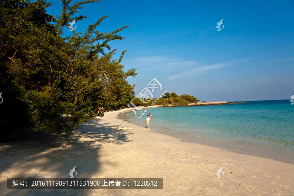 美麗的沙灘，潔白的沙灘和樹木，藍(lán)色的大海，浪漫的景色和蔚藍(lán)的天空