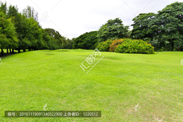 公園里的綠草場