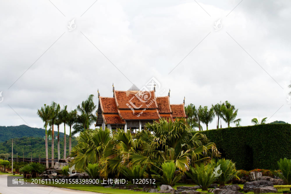 nongnooch熱帶植物園；芭堤雅