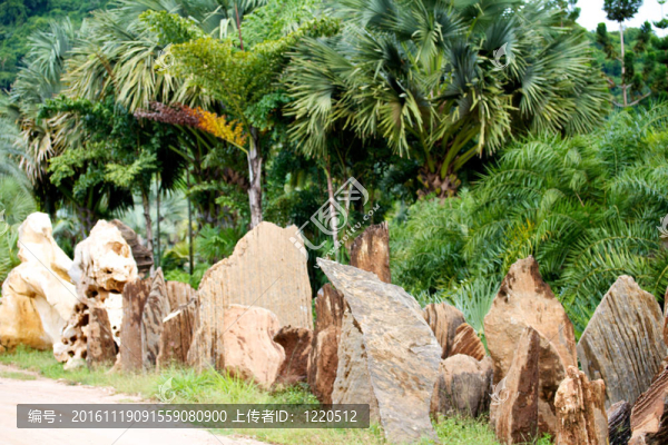 nongnooch熱帶植物園；芭堤雅