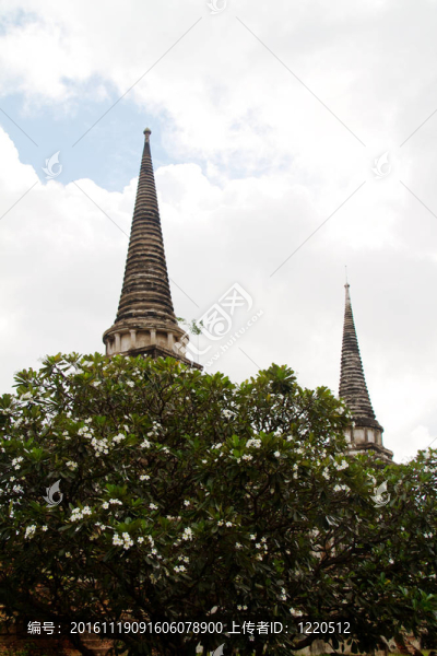 在Wat,chaiwattanaram寺塔；Ayutthaya；泰國