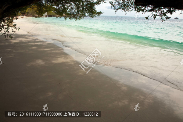 美麗的沙灘，潔白的沙灘，樹木和藍色的大海