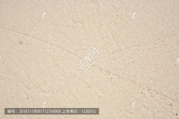 海灘結(jié)構(gòu)