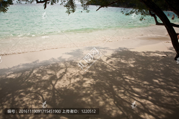 美麗的沙灘，潔白的沙灘，樹木和藍(lán)色的大海