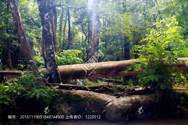 Erawan,Waterfall；Kanchanaburi；泰國(guó)