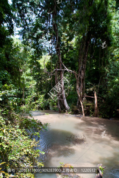 Erawan,Waterfall；Kanchanaburi；泰國