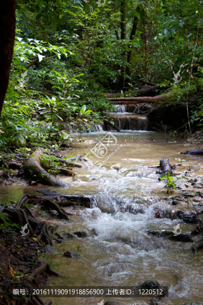 Erawan,Waterfall；Kanchanaburi；泰國(guó)