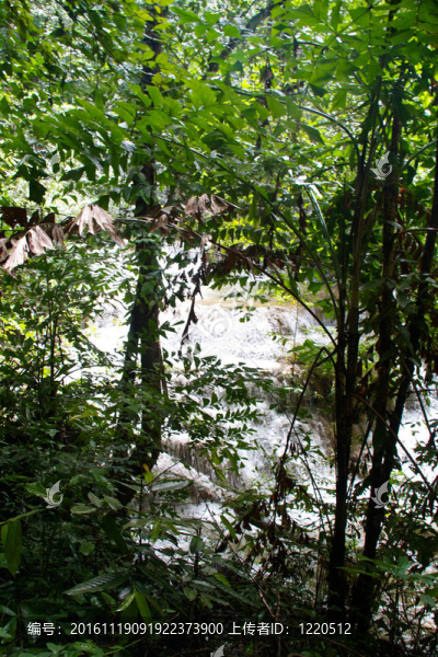 Erawan,Waterfall；Kanchanaburi；泰國