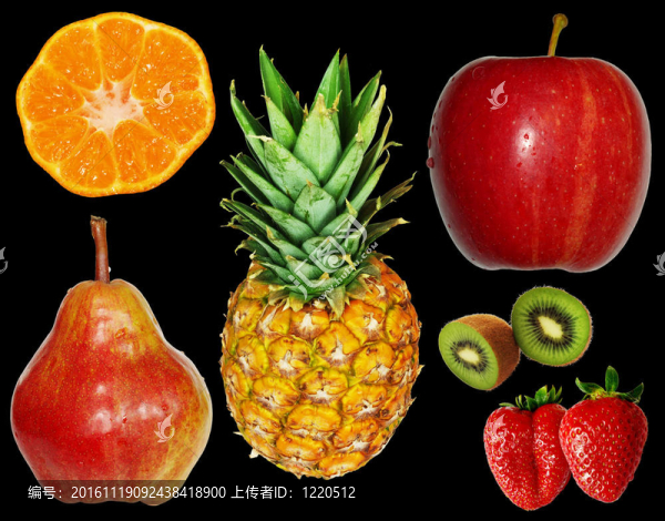 在黑色的果實(shí)-匯圖網(wǎng) www.fosd68.com 在黑色的果實(shí)