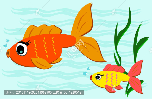 兩條金魚游泳