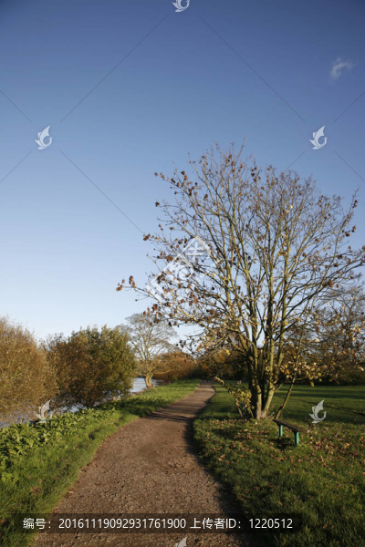 沿著河邊的公共步行道