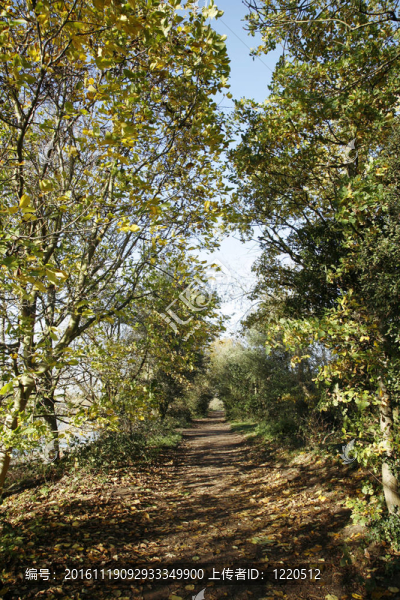 沿著河邊的公共步行道