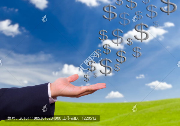 商人手和美元的跡象