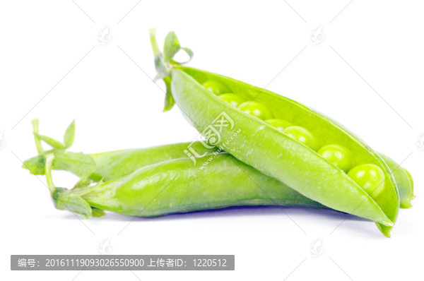 綠色的豌豆