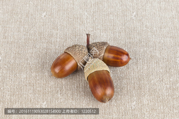 該公司的彩色照片。