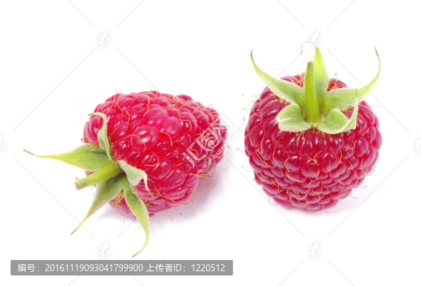 覆盆子