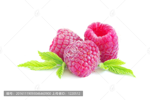 覆盆子