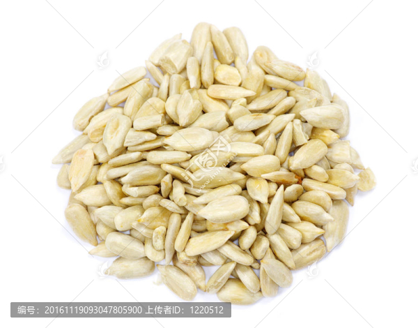 葵花籽