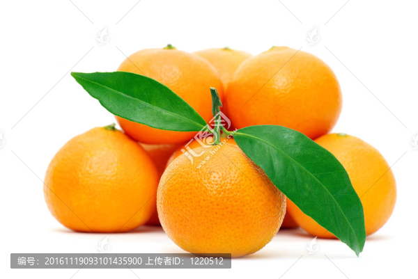Tangerine夜店